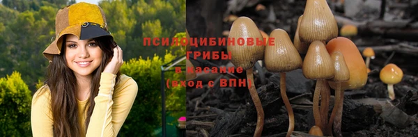 прущие крисы Новодвинск