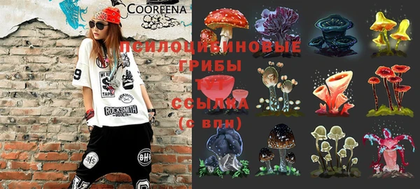 кристаллы Новозыбков