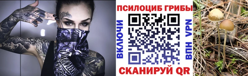 Псилоцибиновые грибы прущие грибы  kraken   Сорск 
